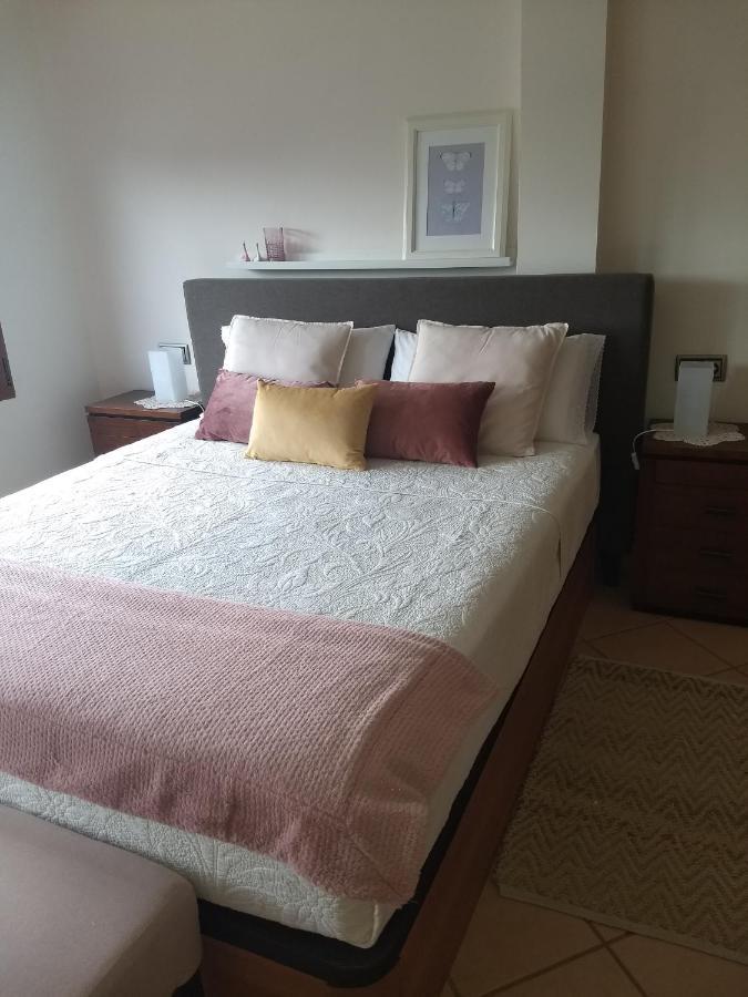 Casa Vilarousa 阿罗萨新镇 外观 照片